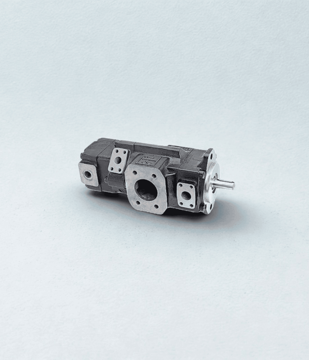 T6D/DC/DCC/DDD Vane Pump